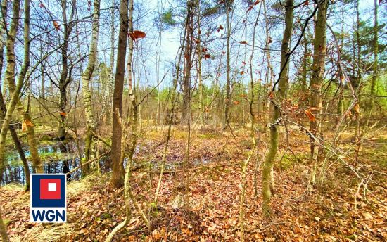 Grunt rekreacyjny/p.o.d. na  sprzedaż Jeleńska Huta - Działka o naturalnym charakterze - 4 839 m2, Szemudzka Huta
